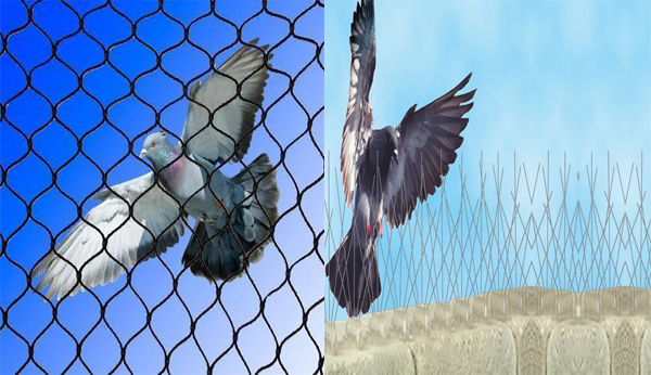 Bird Spikes Safety Nets In Suchitra