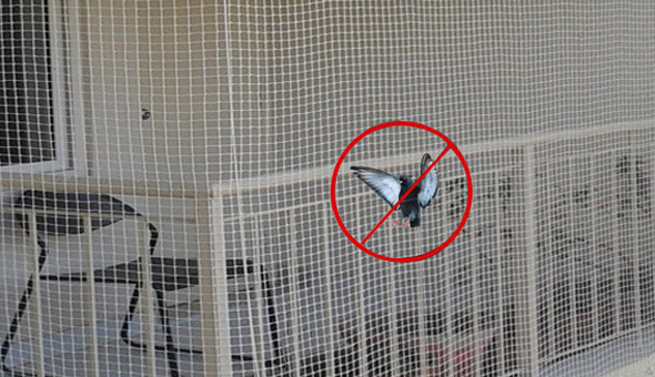 Pigeon Net For Balcony IN hyderabad 
